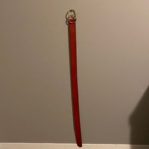 Aritzia Auxiliary Double Ring Belt